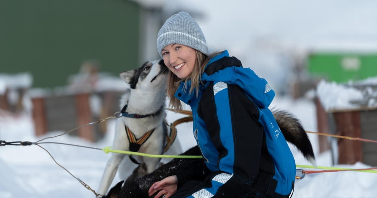 Tromsø: tour fácil en trineo de perros y visita a la perrera