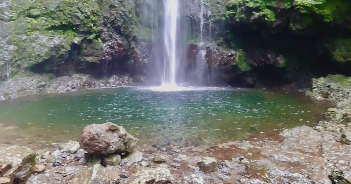 Madeira: Fiebre de la selva, ruta de senderismo por la levada de Caldeirão Verde, Santana