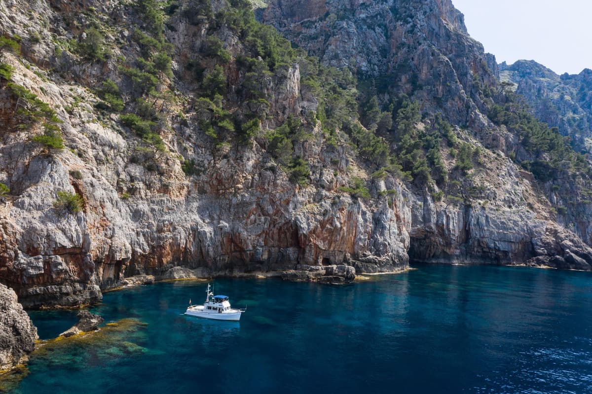 Mallorca: Tour en barco privado en Palma de Mallorca