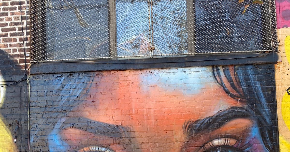 Brooklyn: Bushwick Graffiti Tour