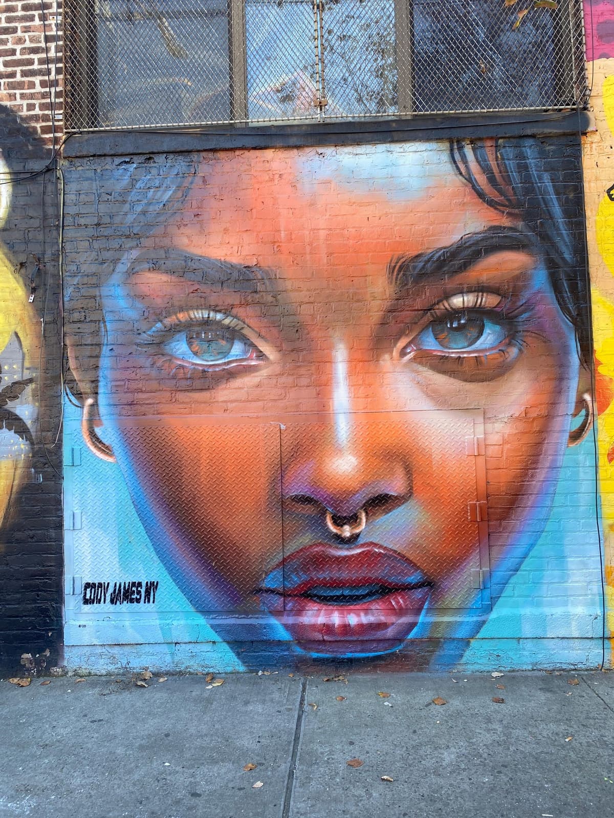 Brooklyn: Bushwick Graffiti Tour