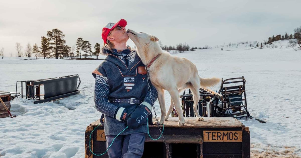 Tromsø: visita a huskies y fogata con salchichas noruegas locales