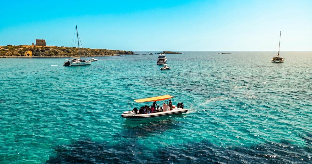 Desde Alicante: Tour en lancha rápida a la Isla de Tabarca con snorkel