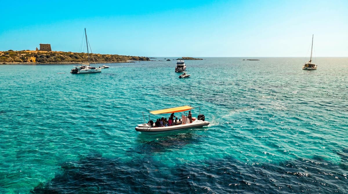 From Alicante: Speedboat Sightseeing Tour to Tabarca Island with Snorkeling