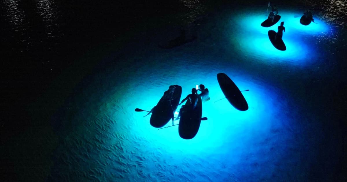 Paddle surf al atardecer con luces LED en la playa de Barcelona