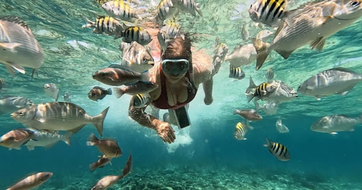 Cartagena: Excursión Islas del Rosario y Playa Blanca con Snorkel o Acuario