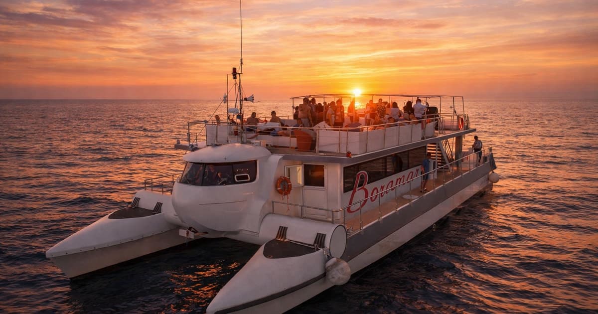 Valencia: Crucero en Catamarán al Atardecer o de Día con Bebida
