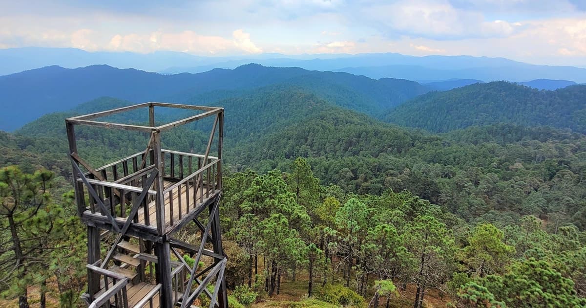 Oaxaca: Sierra Norte Ixtepeji, excursión guiada y almuerzo, medio día.