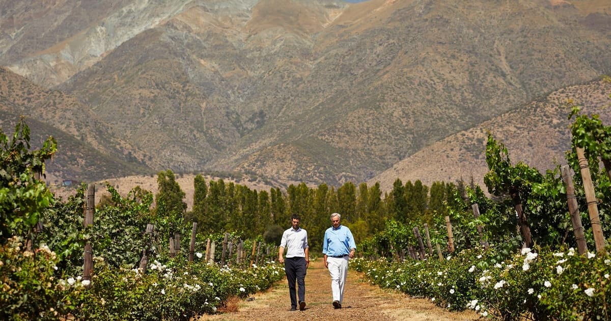 Santiago: Tour premium con degustación de vinos, Viña Aquitania