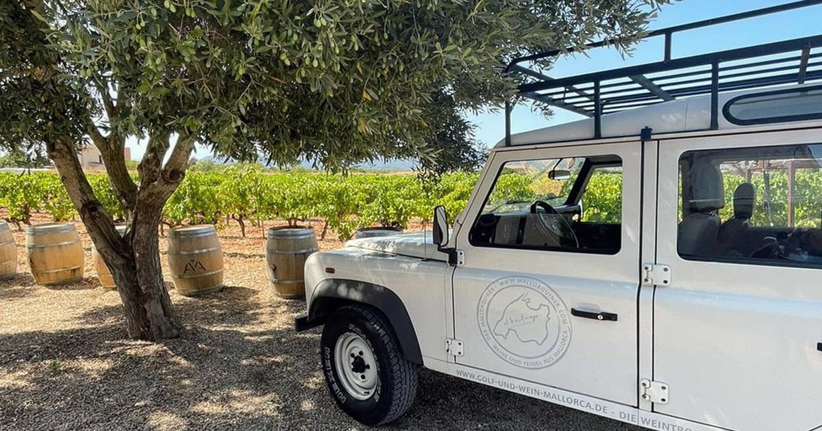 VISITA A UNA BODEGA HISTÓRICA Y CATA DE VINOS