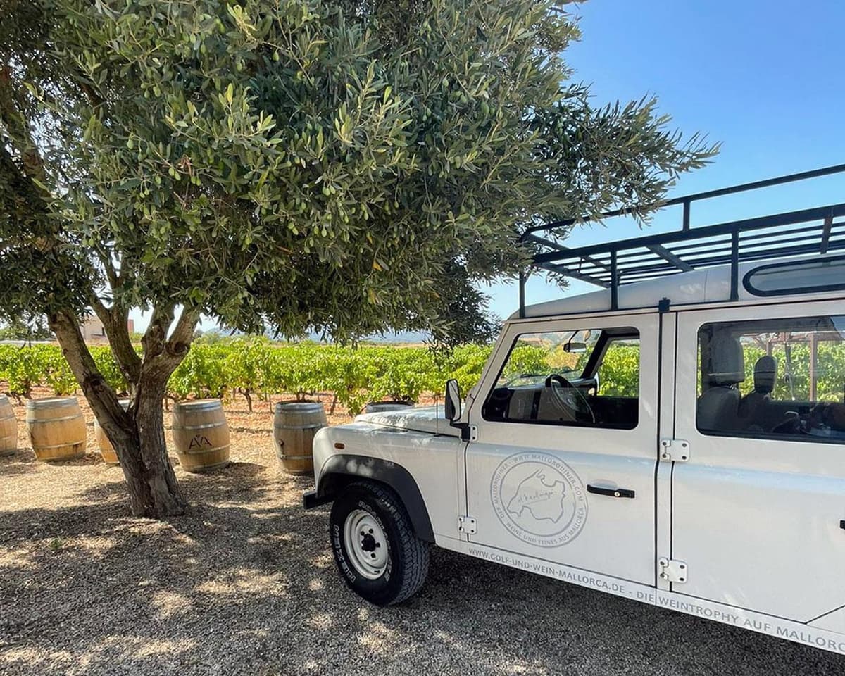 VISITA A UNA BODEGA HISTÓRICA Y CATA DE VINOS
