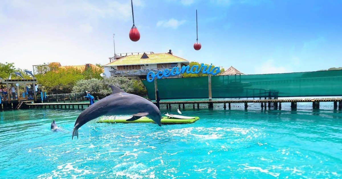 CARTAGENA: 4 islas en barco deportivo