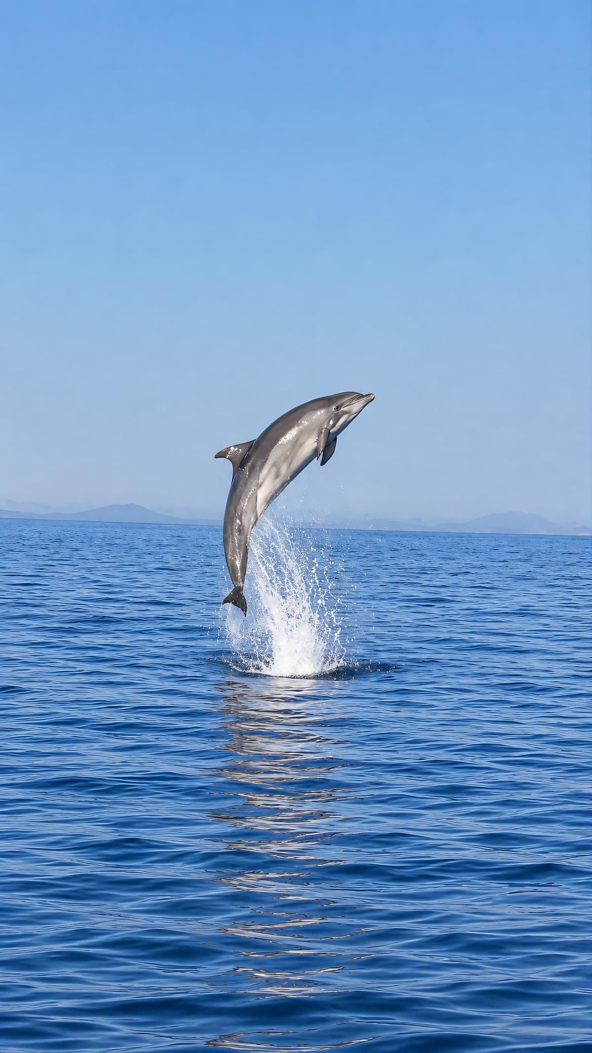 Can Picafort: tour en barco con avistaje de delfines, baño y cuevas