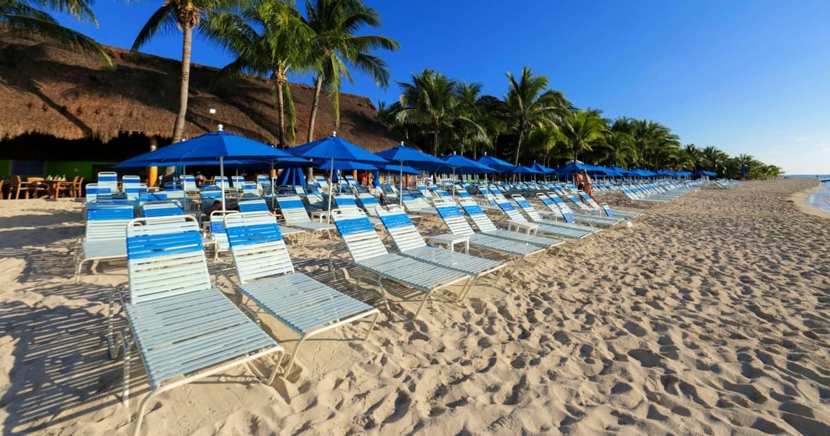 Cozumel: pase de un día en la discoteca Paradise Beach Club con comida y bebida