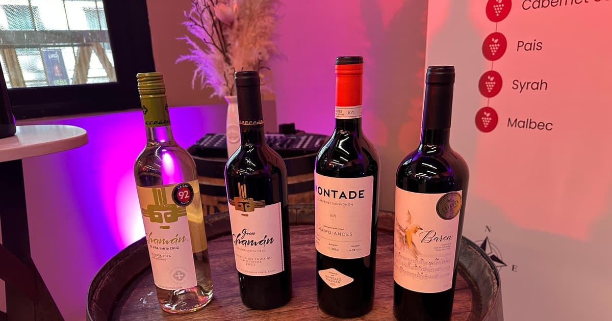 Santiago: Cata de vinos "Chile en tu Copa".