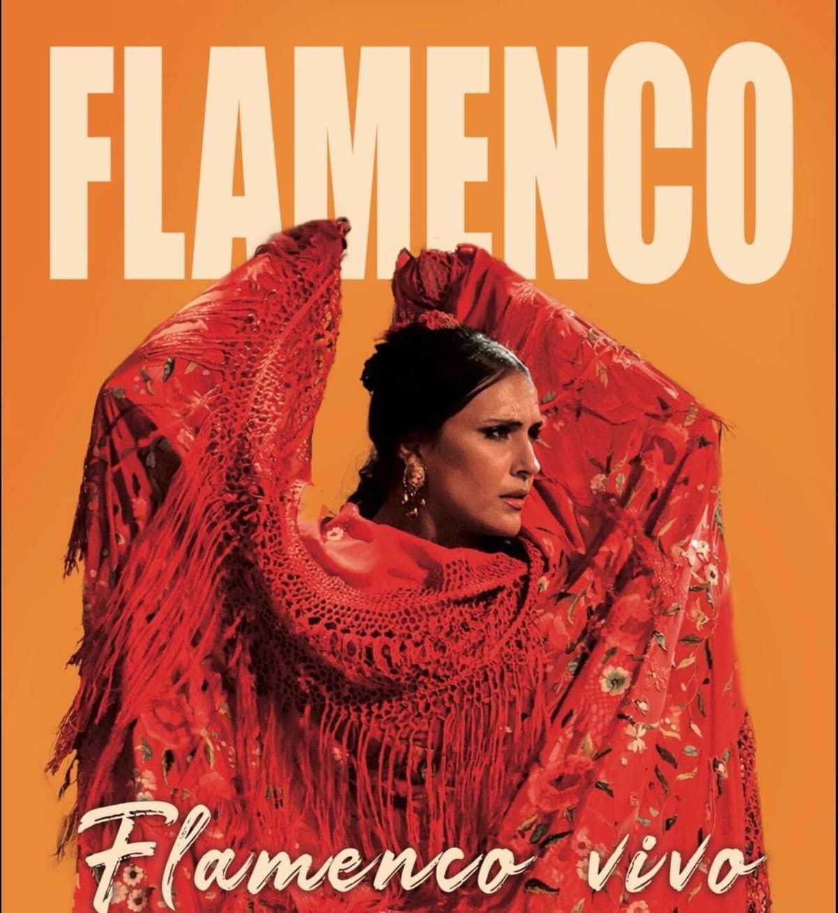 Sevilla Cóctel y Flamenco