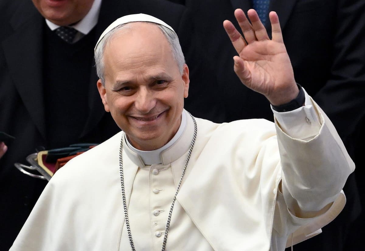 Vatican City: Papal Audience with experienced guide