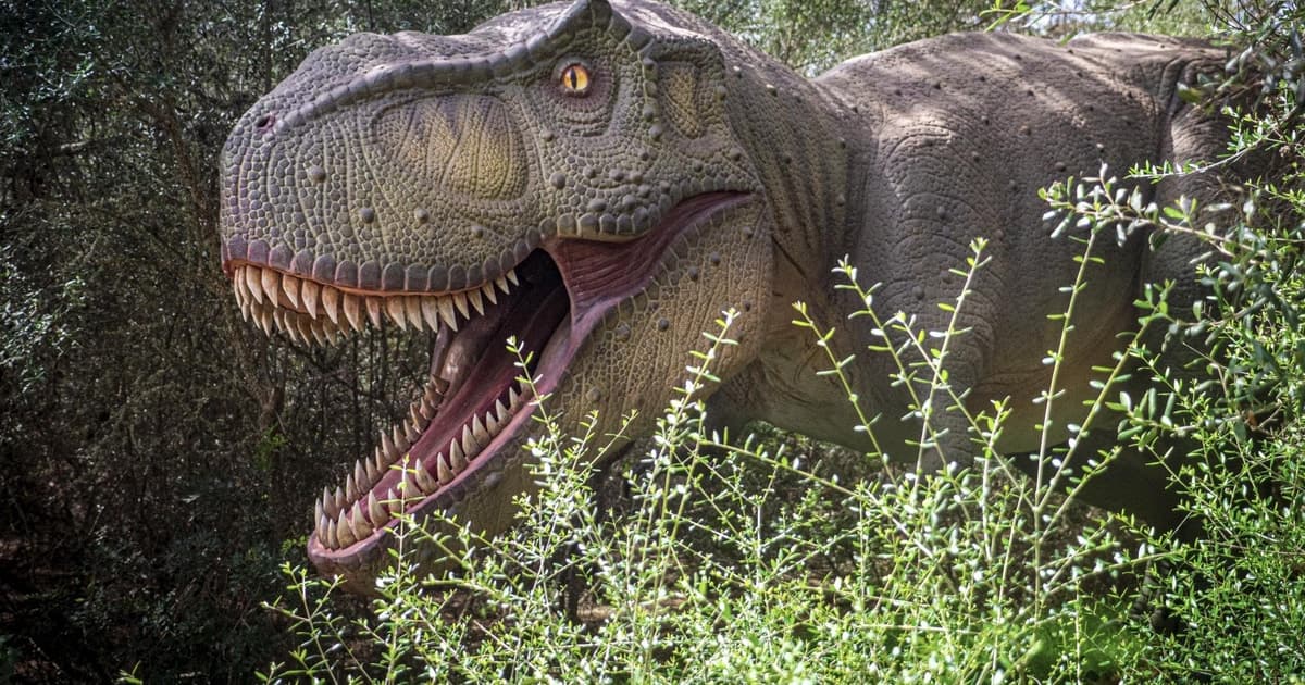 Desde Palma de Mallorca: Excursión a Dinosaurlandia