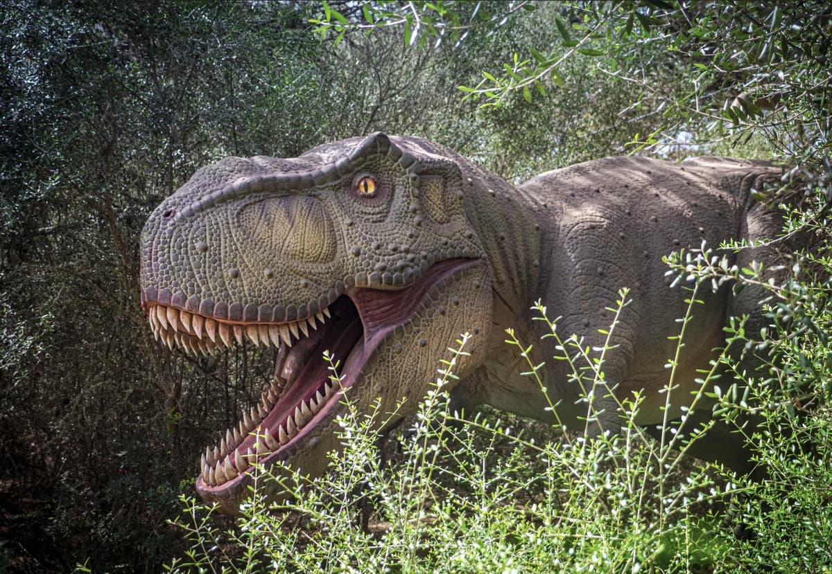 Desde Palma de Mallorca: Excursión a Dinosaurlandia