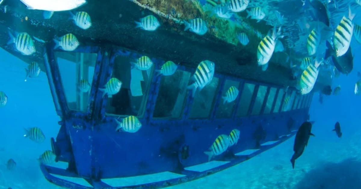 Cancún: paseo en submarino en el arrecife de Nizuc con bebidas