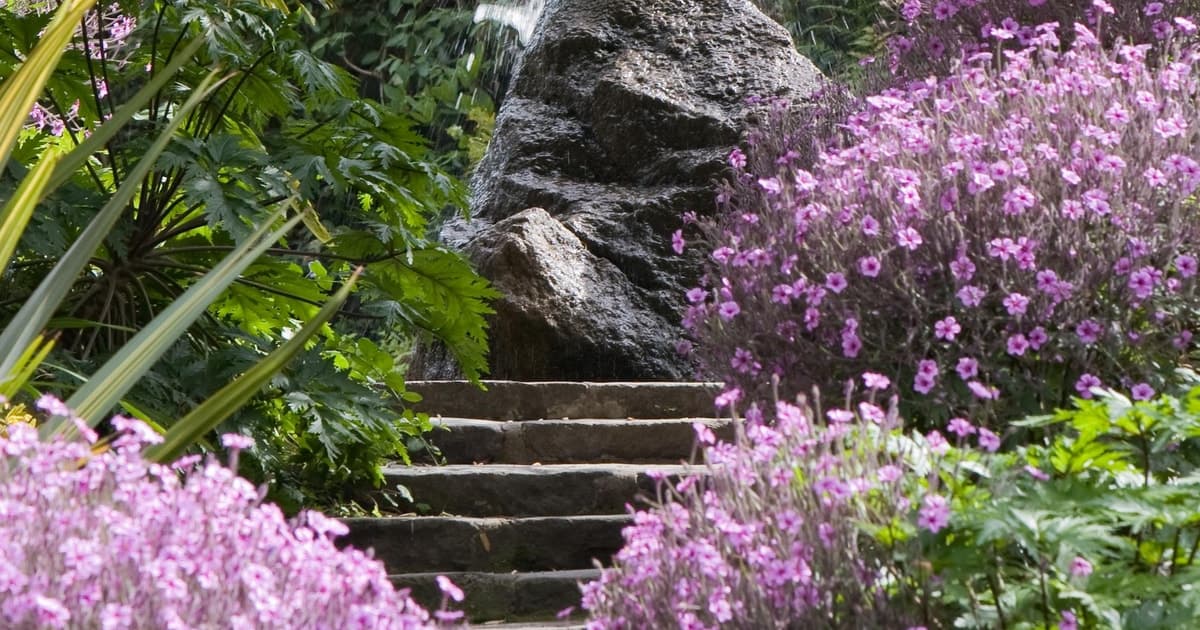 From Naples: Ischia, La Mortella Gardens Day Trip with lunch