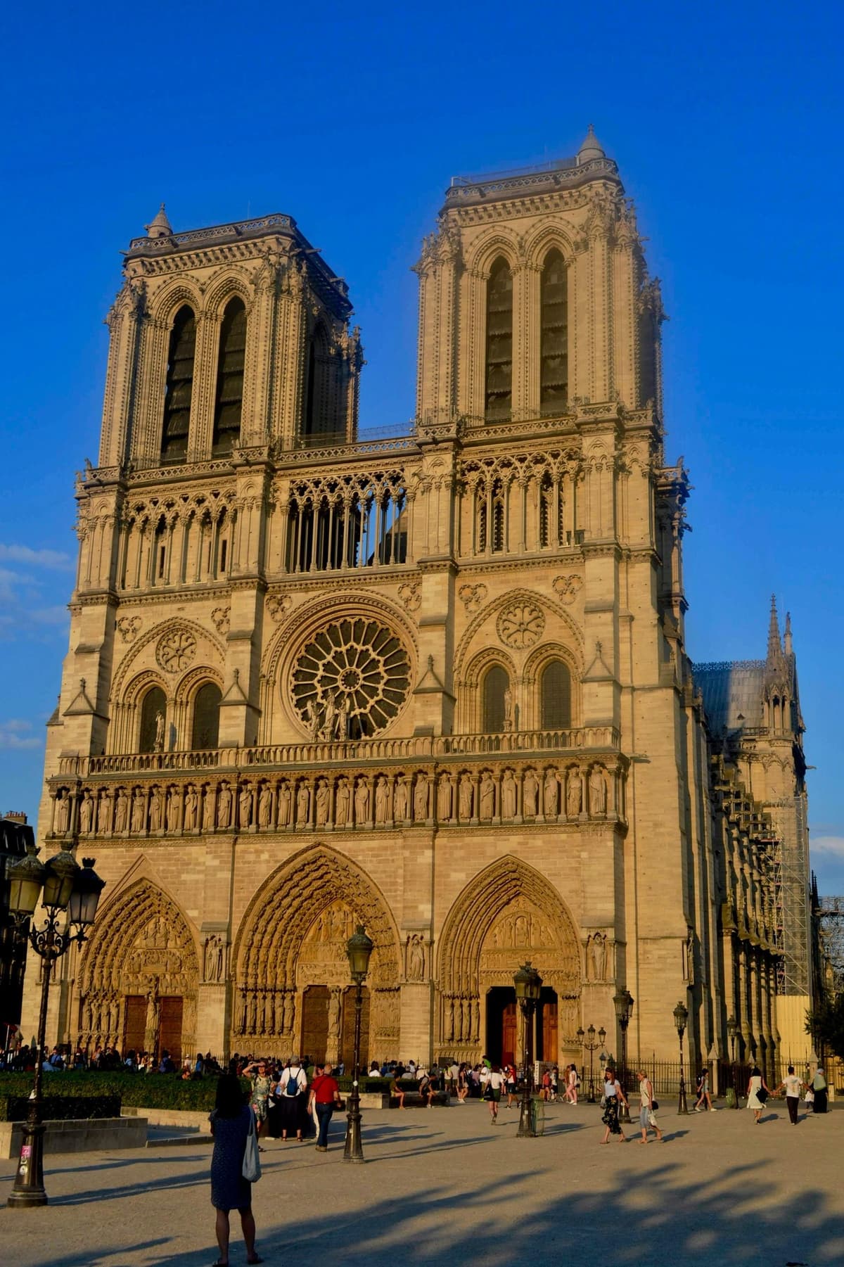 Catedral de Notre Dame: tour guiado con entrada reservada