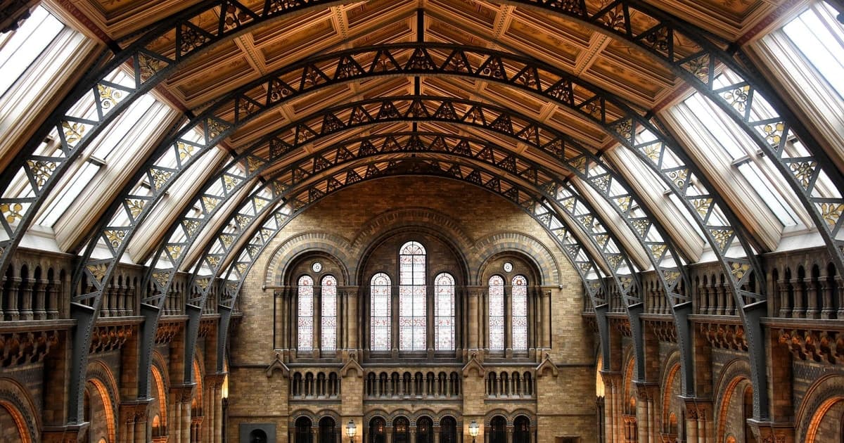 London: Natural History Museum & Deep Experience Guided Tour