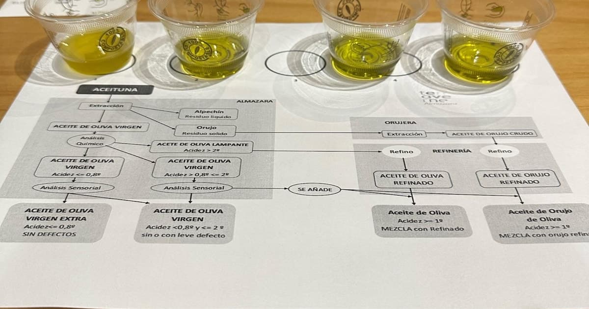 Olive Oil Tasting In Sevilla