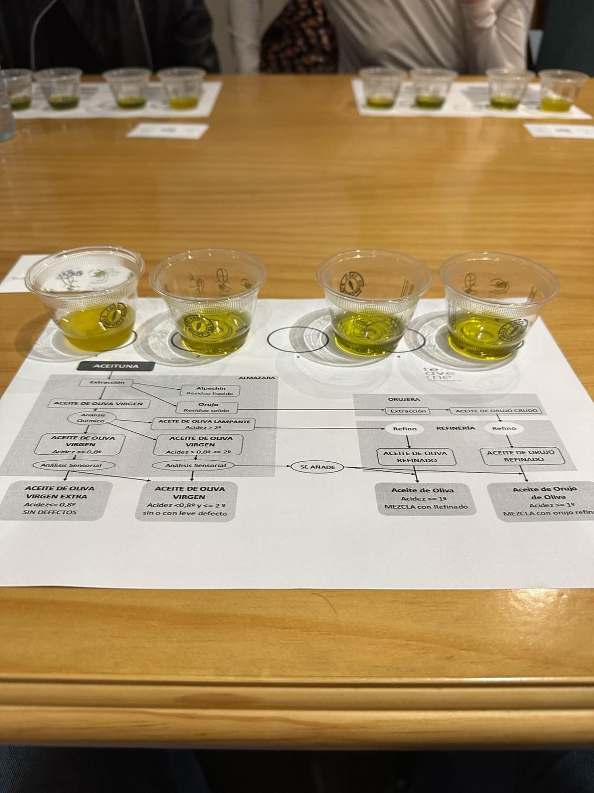 Olive Oil Tasting In Sevilla