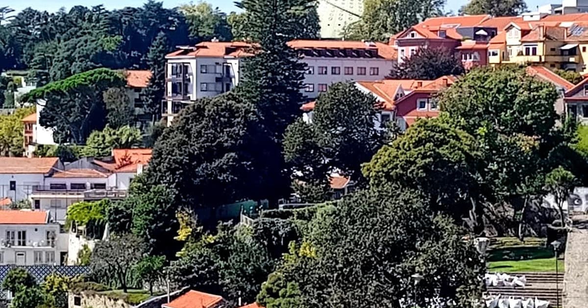 Porto: Walking Tour with Locals + Portuguese Cooking Class with Meal