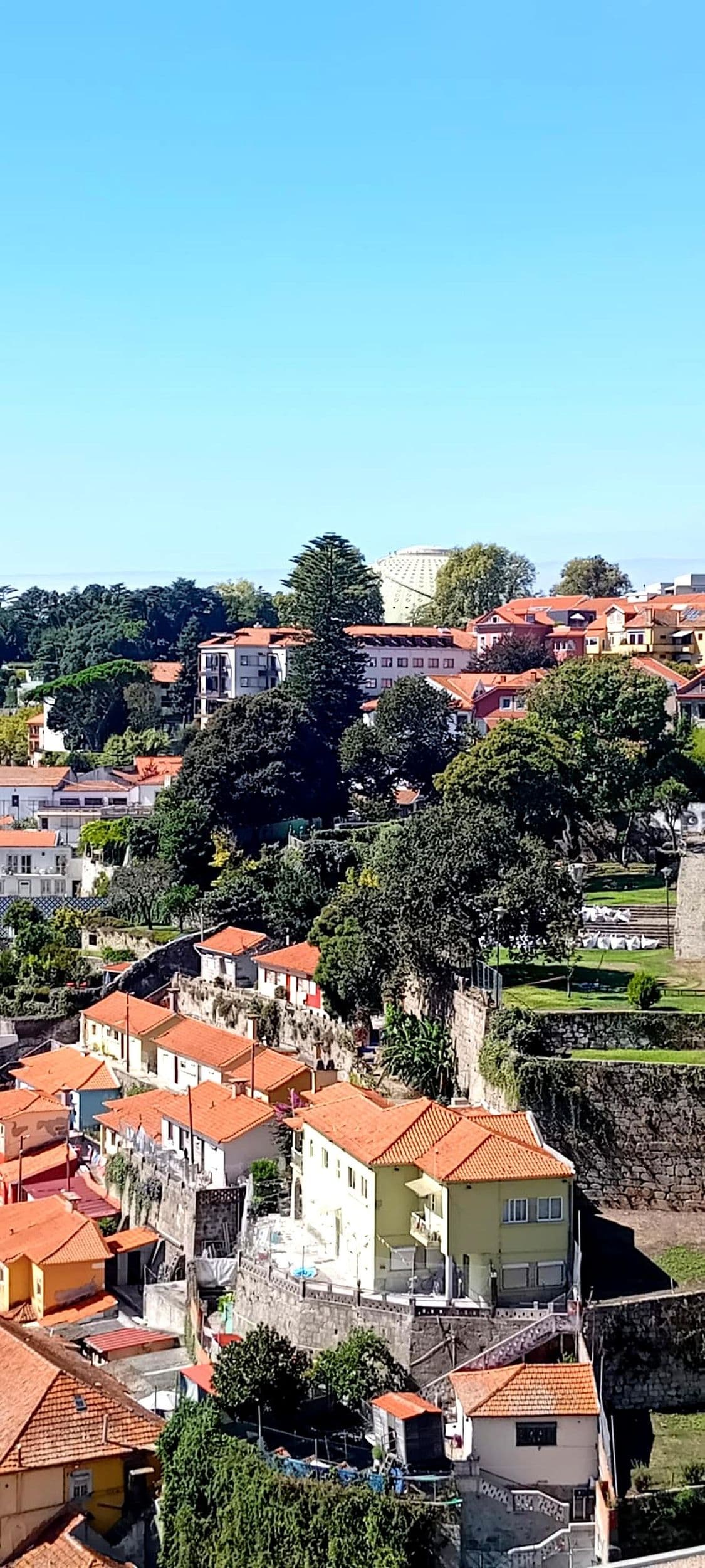 Porto: Walking Tour with Locals + Portuguese Cooking Class with Meal