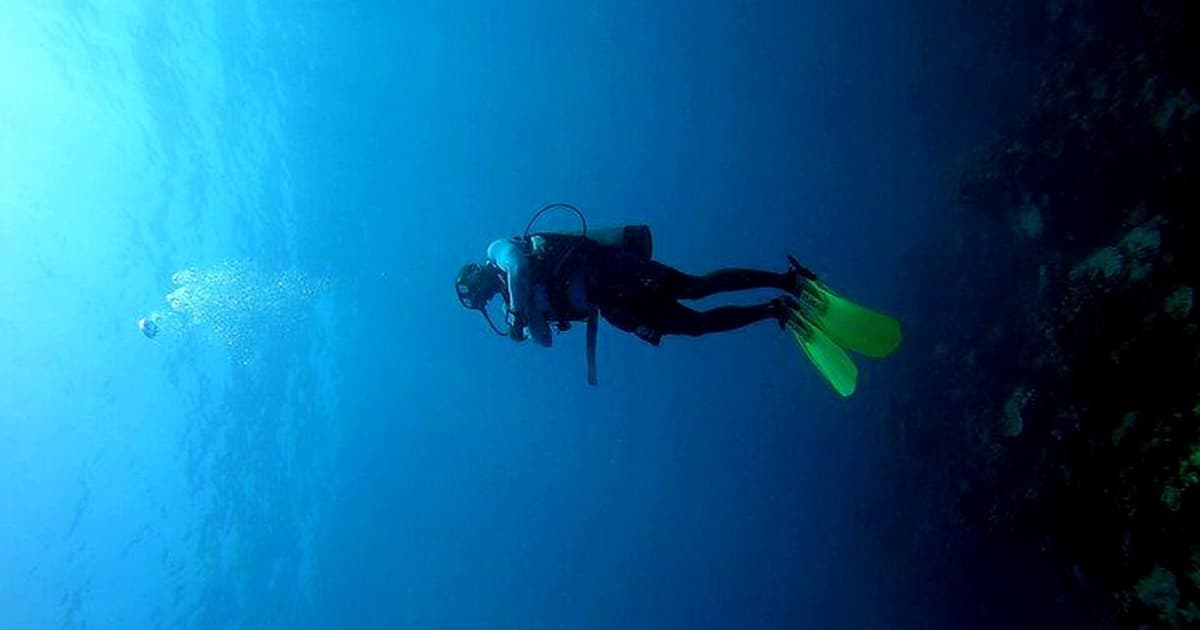 De Cartagena a Barú: buceo para principiantes + clase PADI (10+)