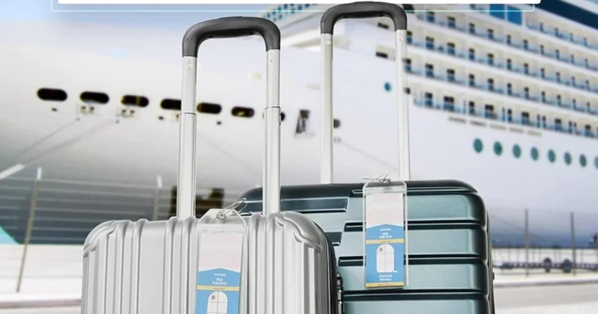 Civitavecchia->Fiumicino luggage delivery+storage