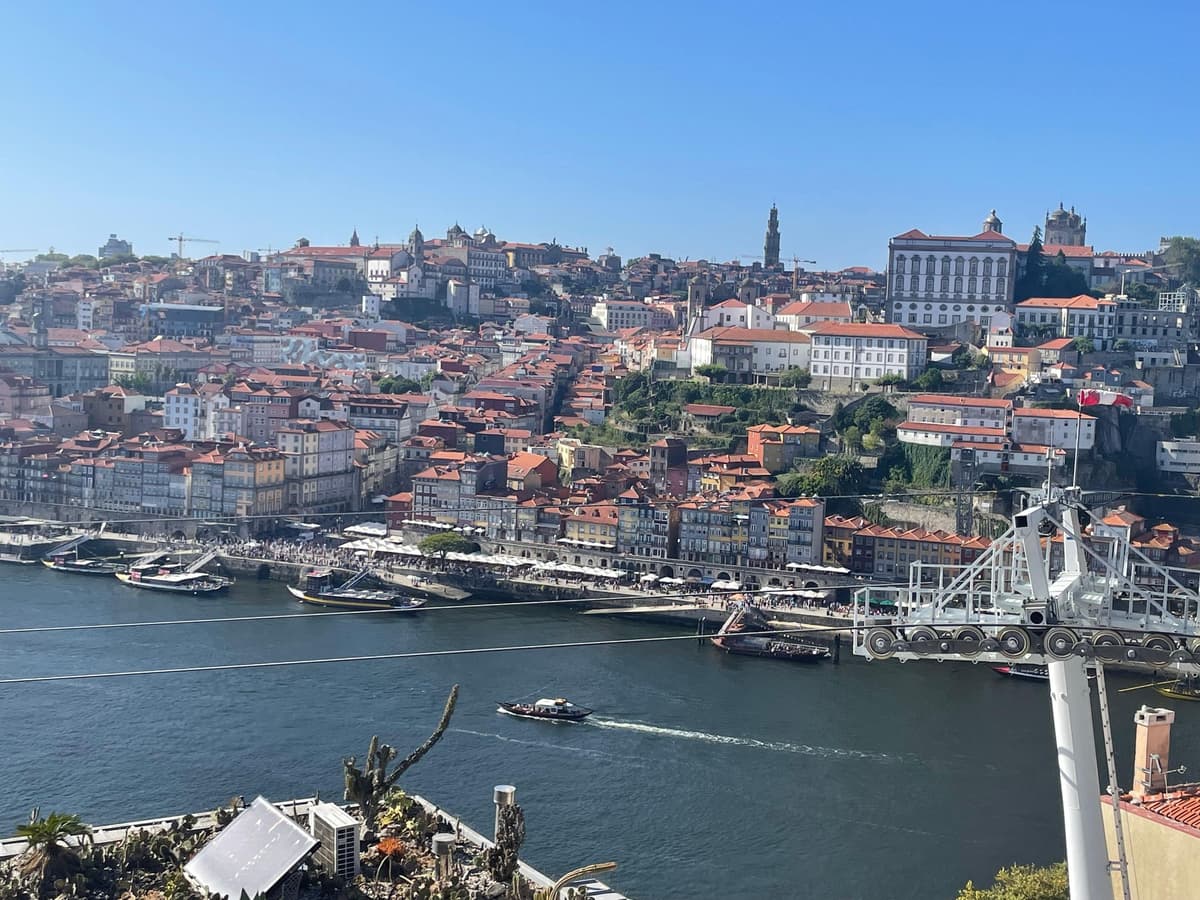 Porto: Historic Center Highlights Small Group Walking Tour
