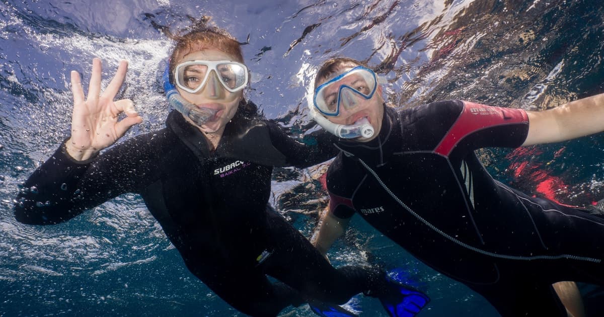 Tenerife: Snorkel en busca de tortugas y rayas