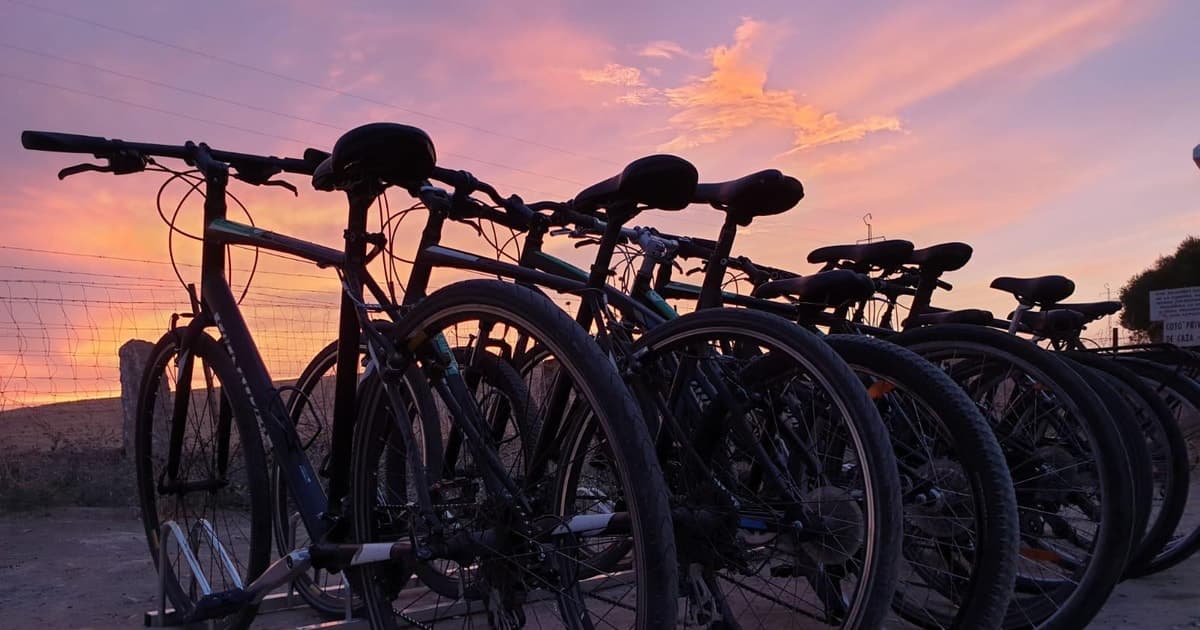 Madrid: alquiler de bicicletas