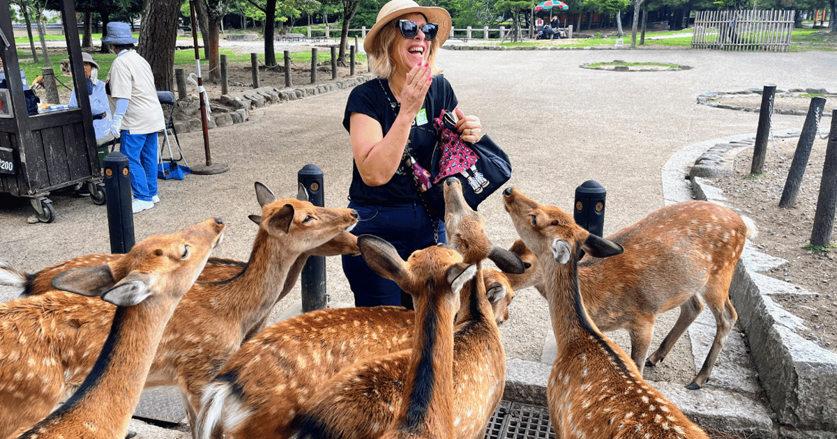 Desde Kioto: tour guiado por la mañana a Nara