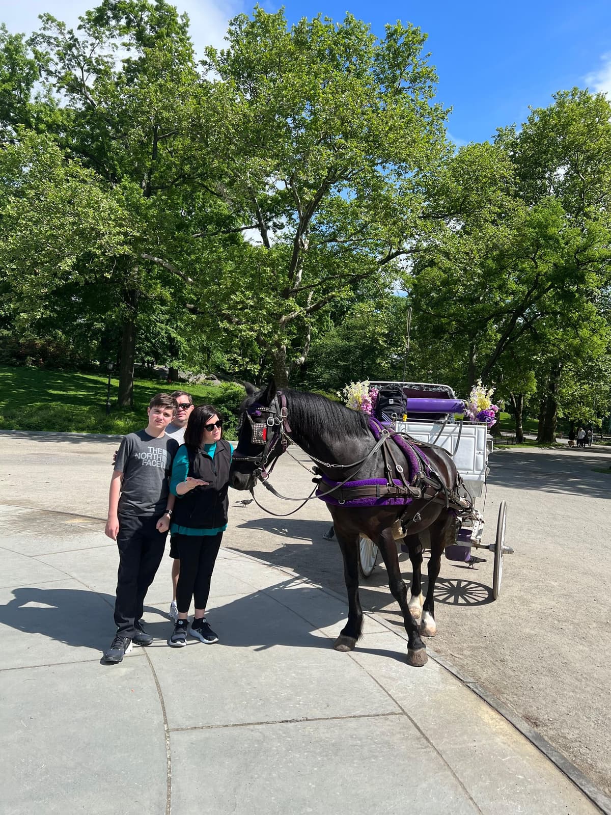 NYC: Private Central Park and NYC City Tour