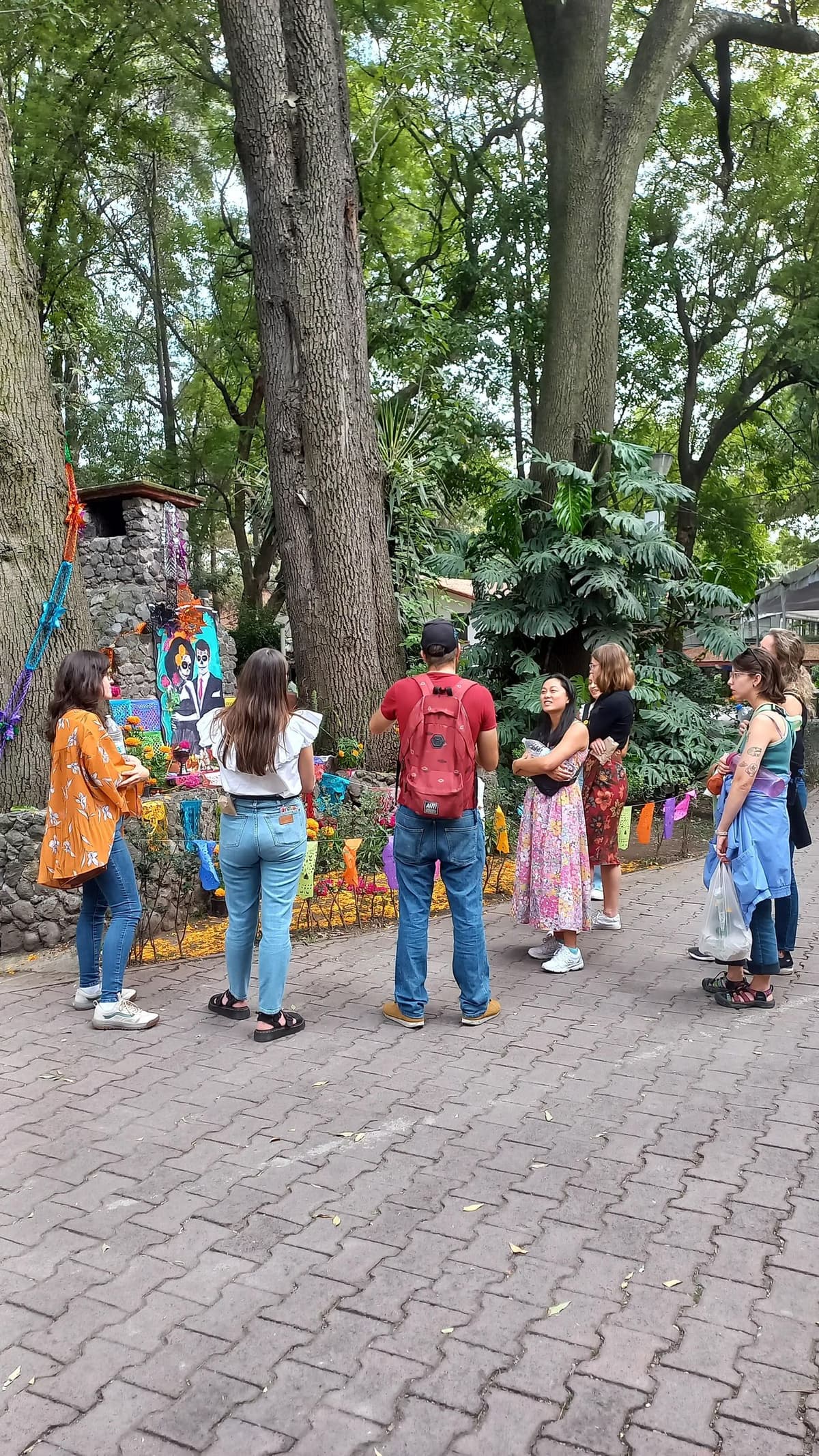 Coyoacan, Historia y vida de un barrio magico