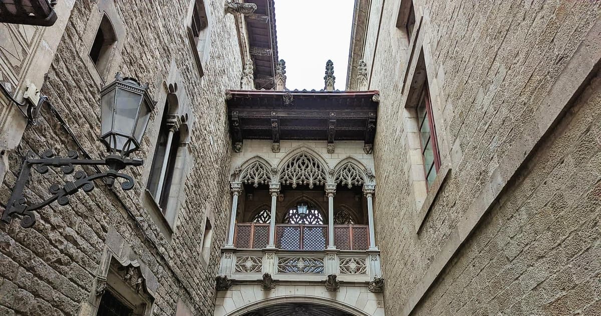 Visita al Barrio Gótico en francés + Tapas