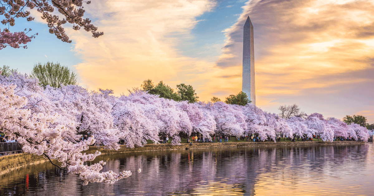Excursión de un día a Washington DC en autobús desde Nueva York