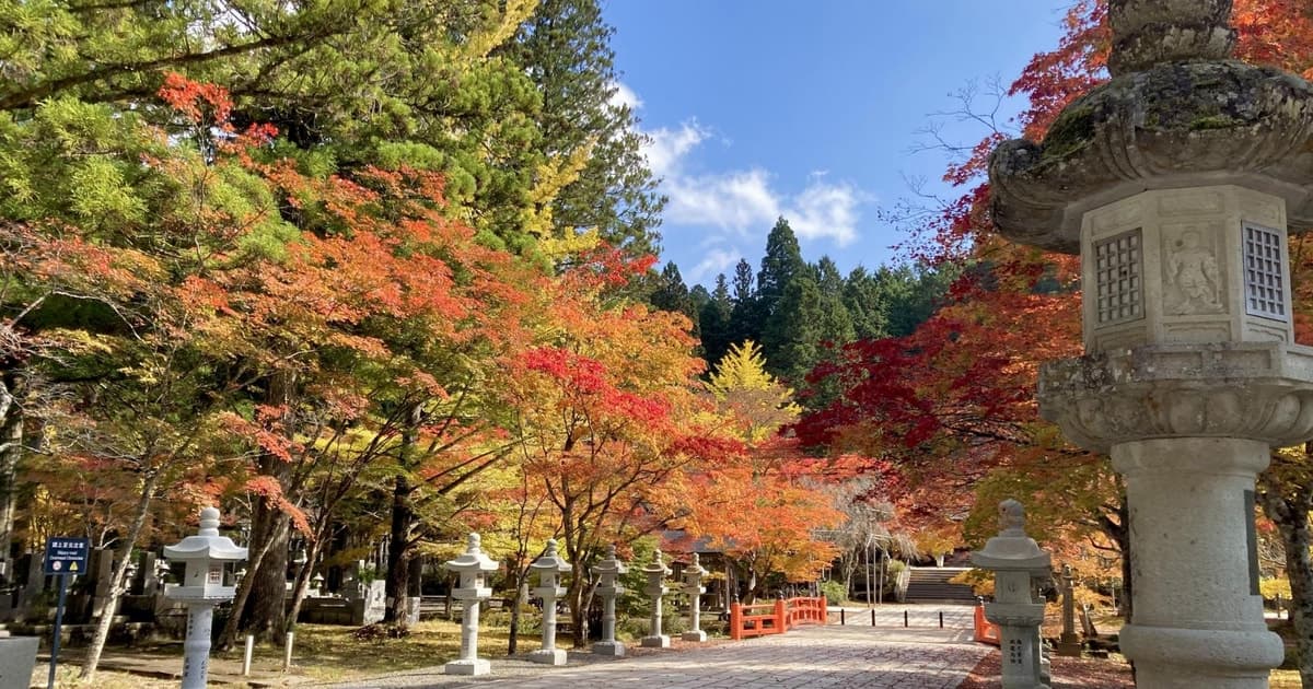From Osaka: Mt Koya and Kishi Station 1 Day Bus Tour