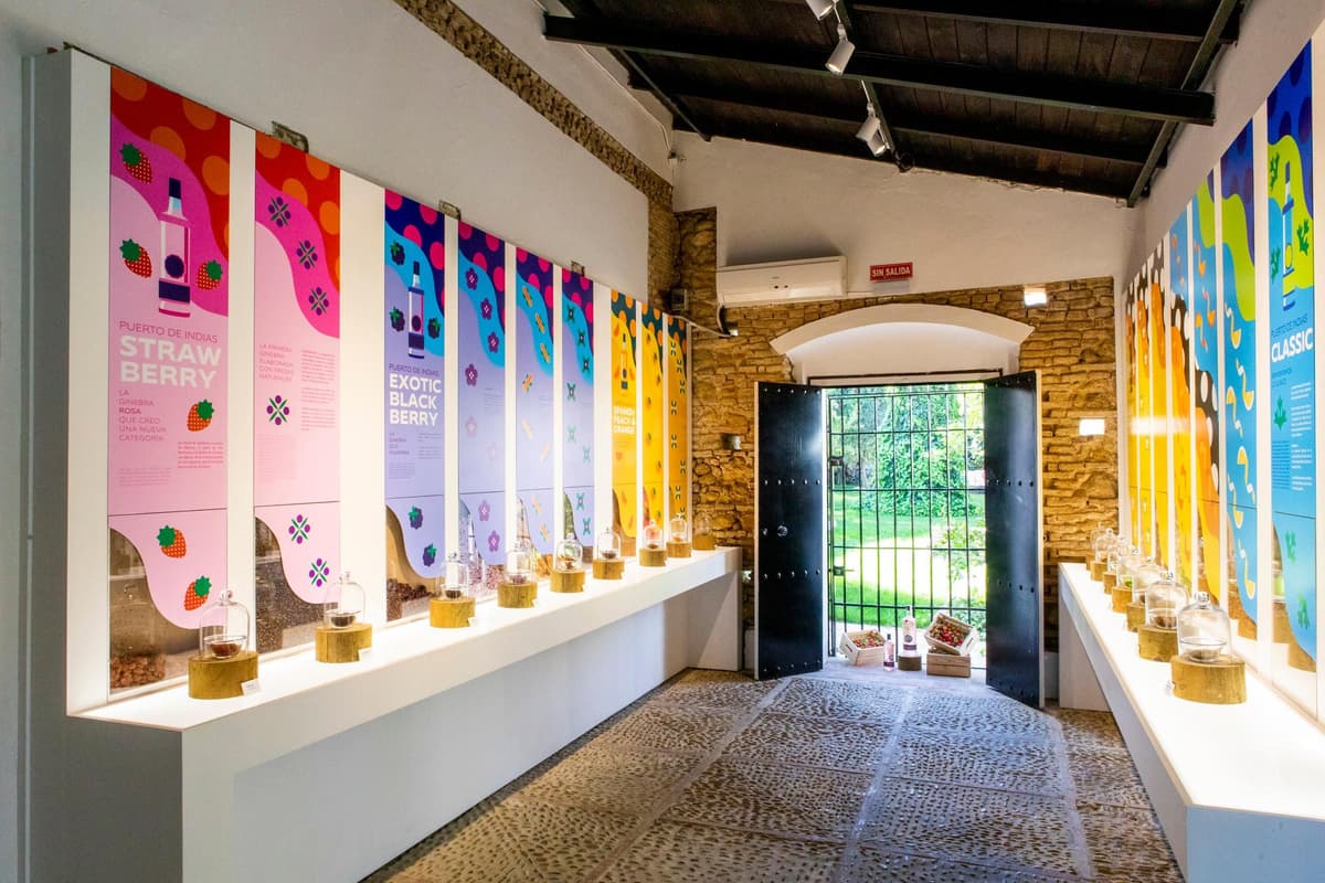 Sevilla, Carmona: Puerto de Indias Distillery premium tour with GIN Tonic
