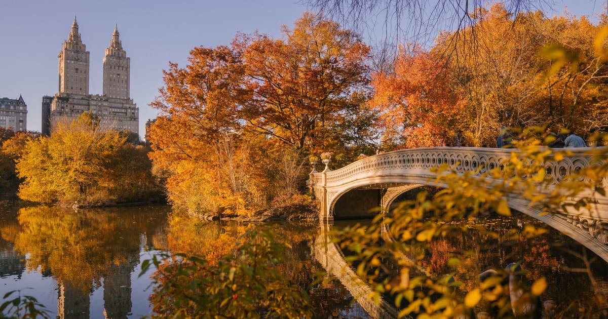 NYC: Central Park Pedicab Tour with Photo Stops