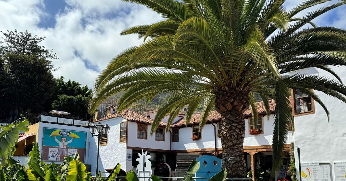 Icod de los Vinos: Casa del Plátano Ticket de entrada