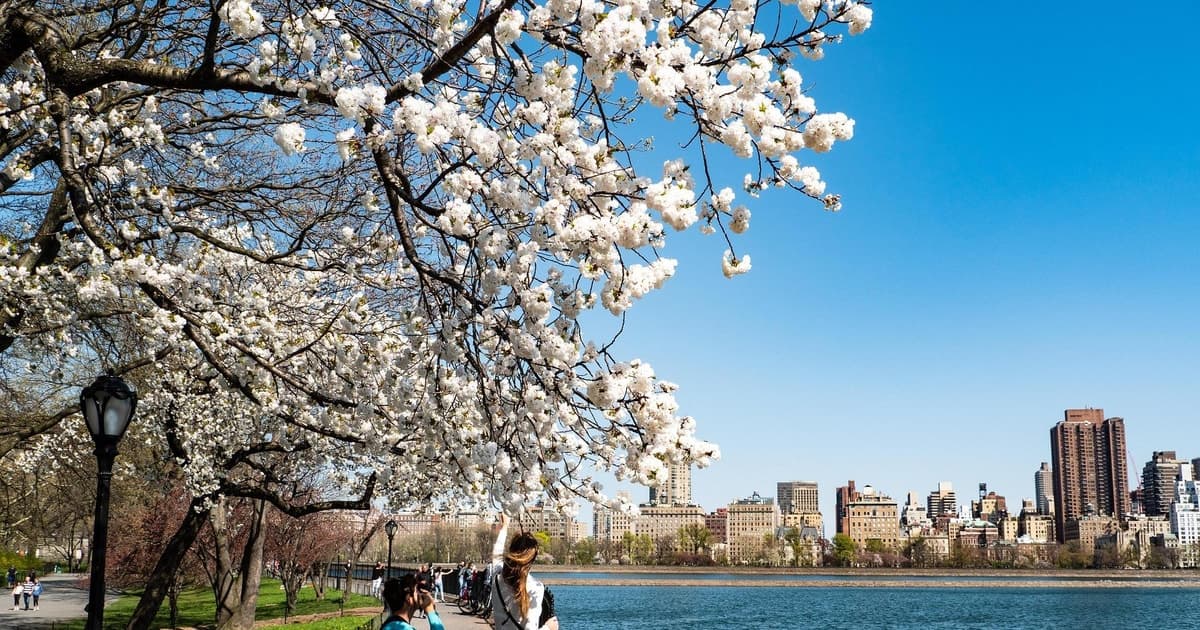 NYC: 2H Guided Morning Exercise in Central Park+Walking Tour
