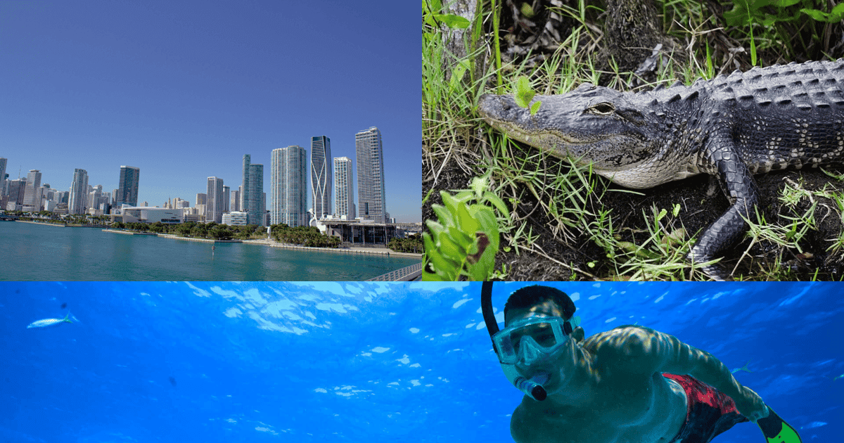 3-Day Florida Getaway: Key West Snorkel, Miami & Everglades