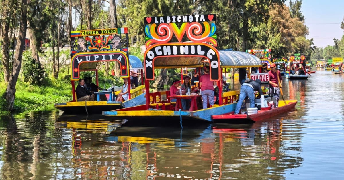 Ciudad de México: tour en trajinera por Xochimilco con bebidas y tacos