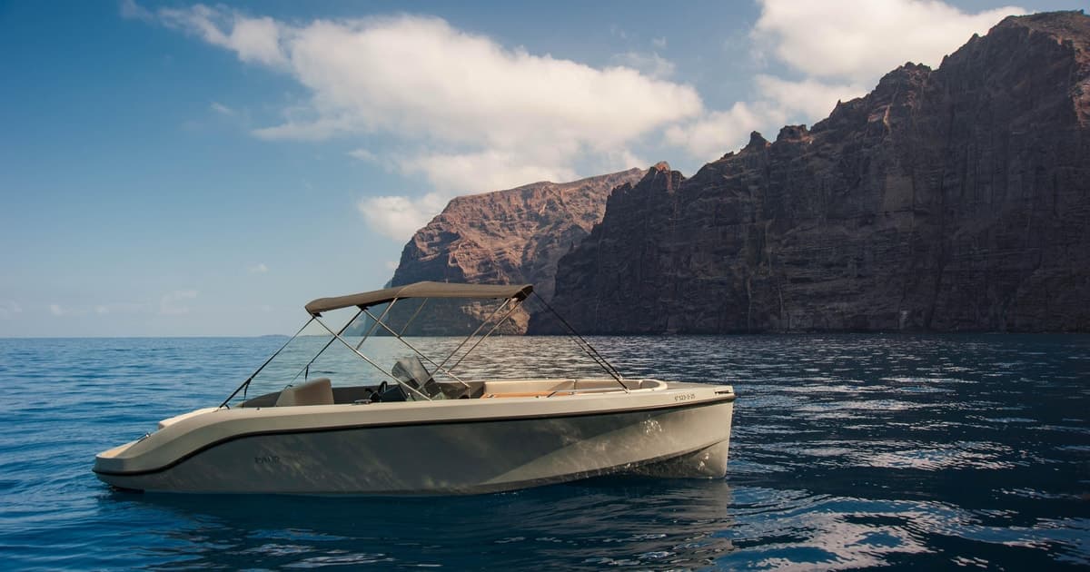 Excursión en barco lujo Los Gigantes