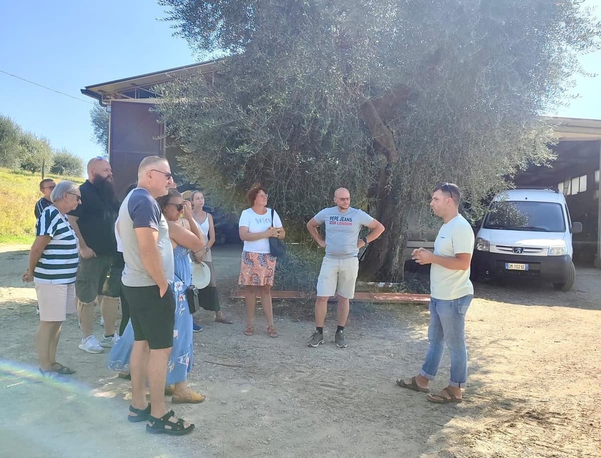 Seggiano: Typical Tuscan Farm Tour with Olive Oil Tasting